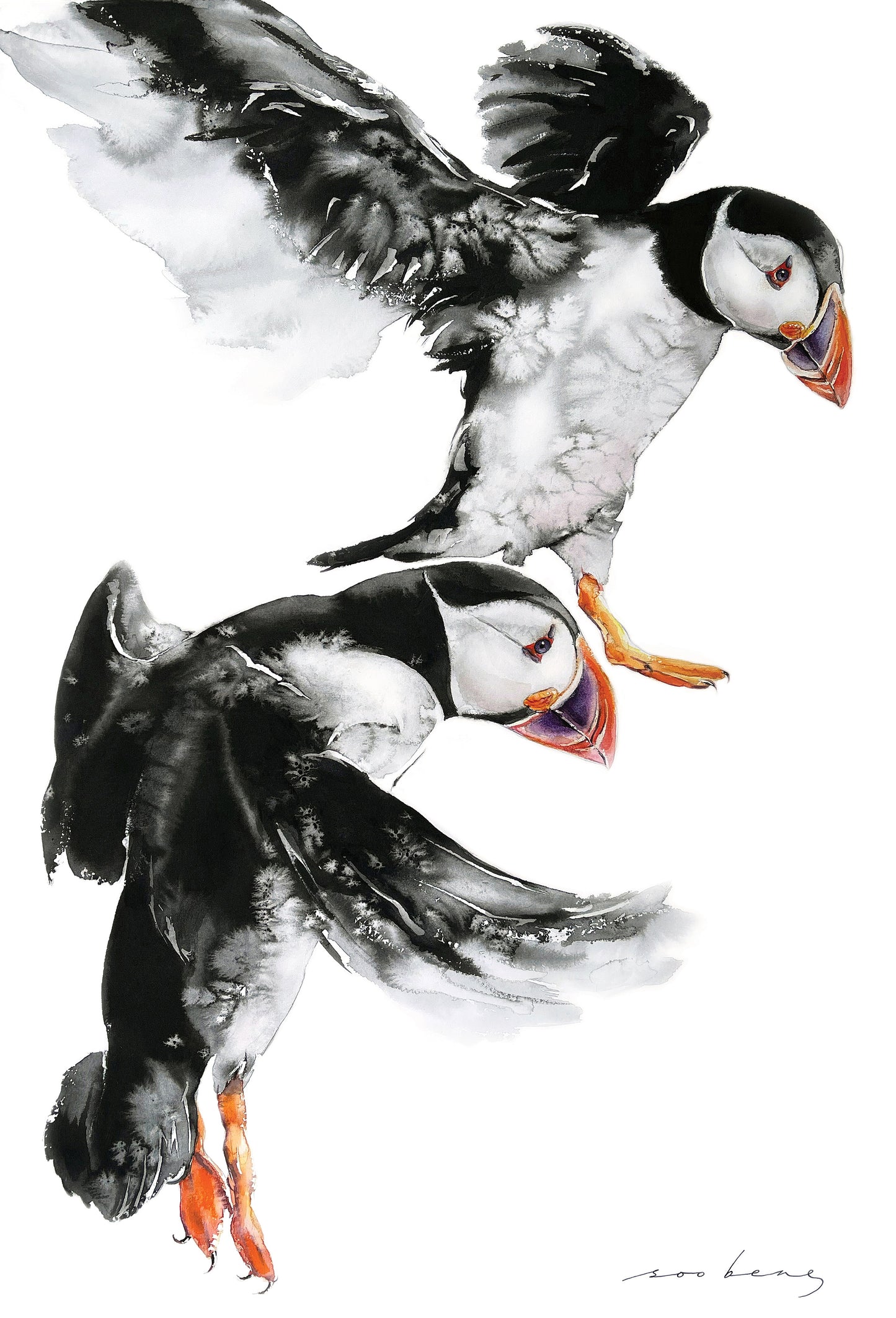 Beak Buddies