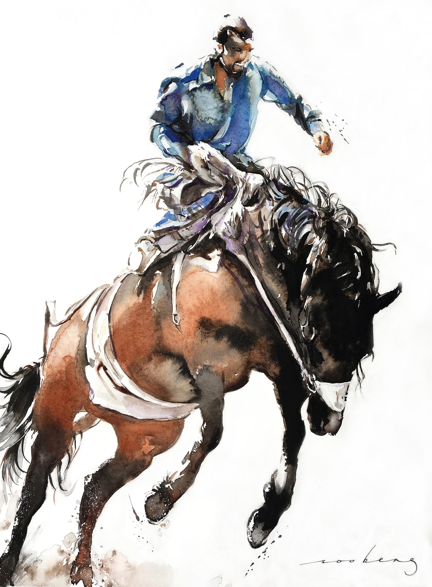 Brumby Ride