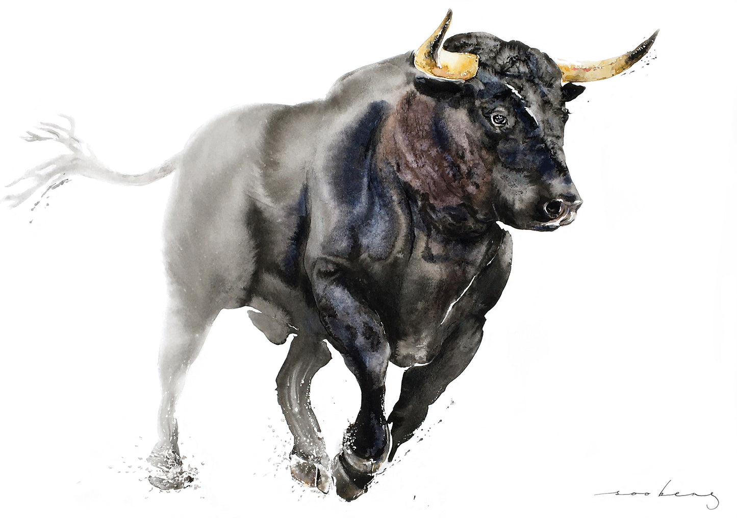Bull Speed