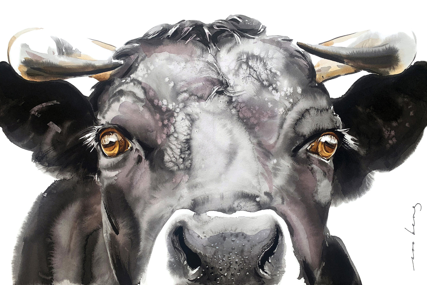 Bull’s Eye