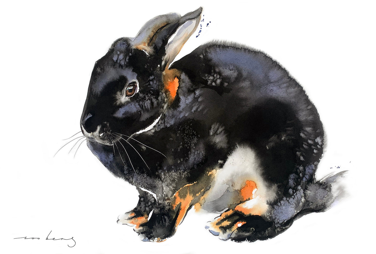 Bunny’s Worth