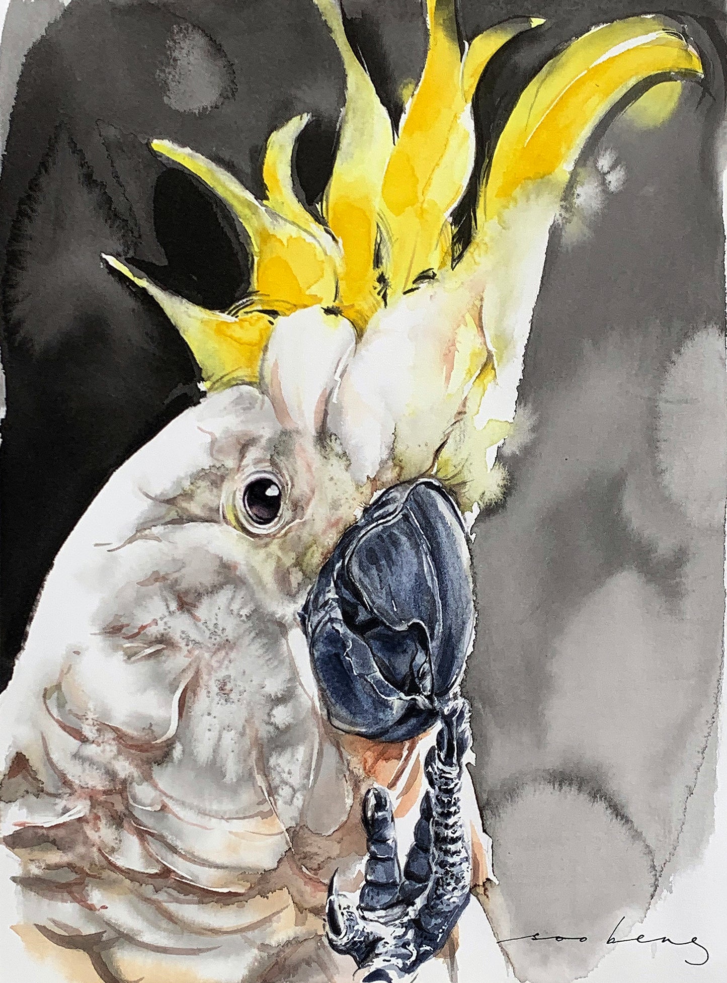 Cockatoo Flair