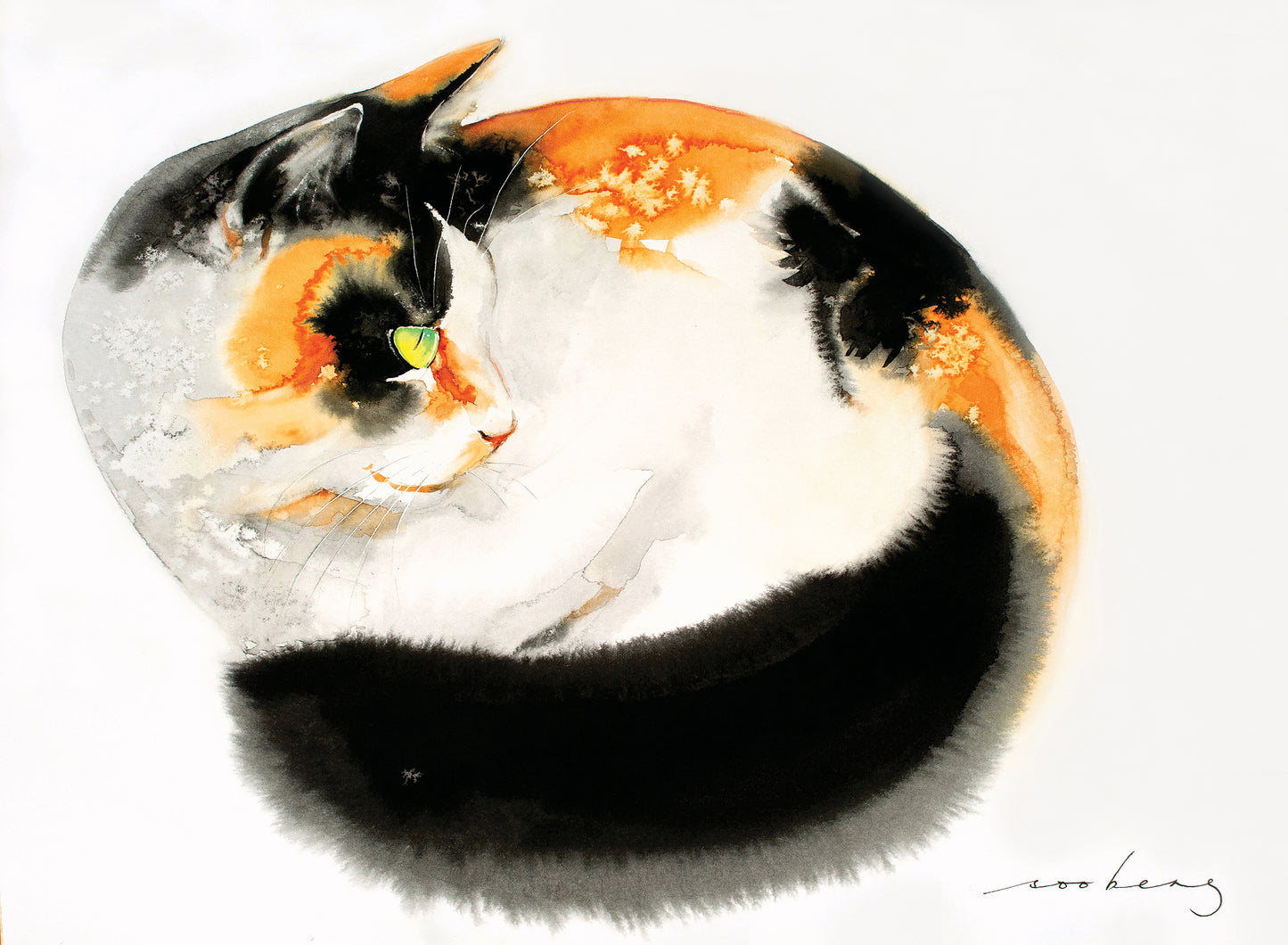 Cosy Cat