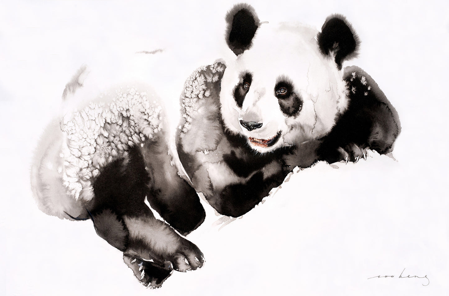 Cosy Panda3