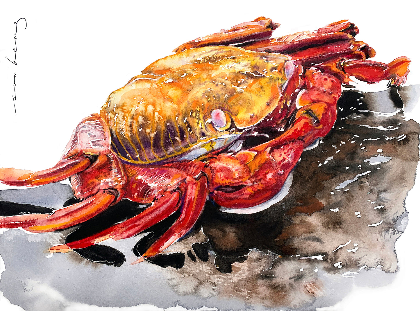Crimson Claws