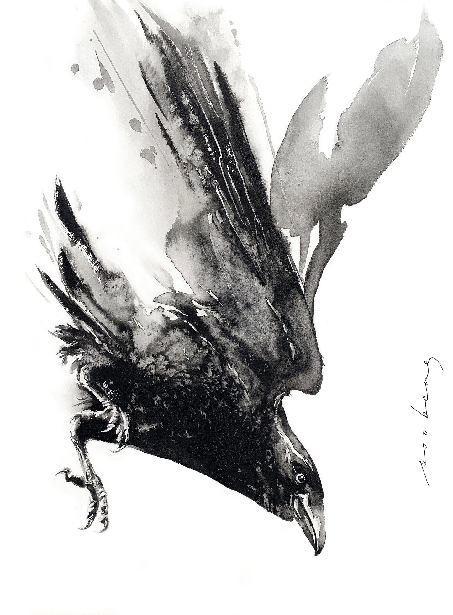 Elegance of Flight