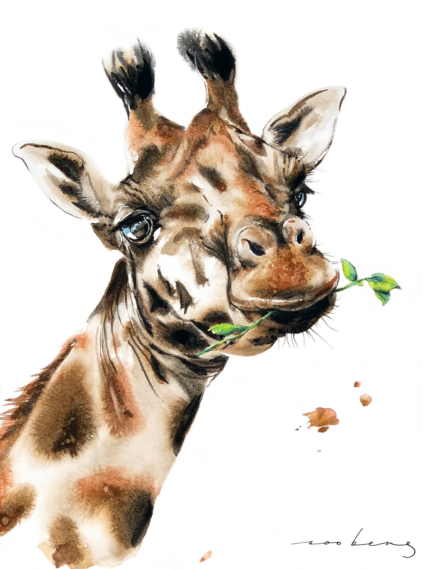 Graceful Graze