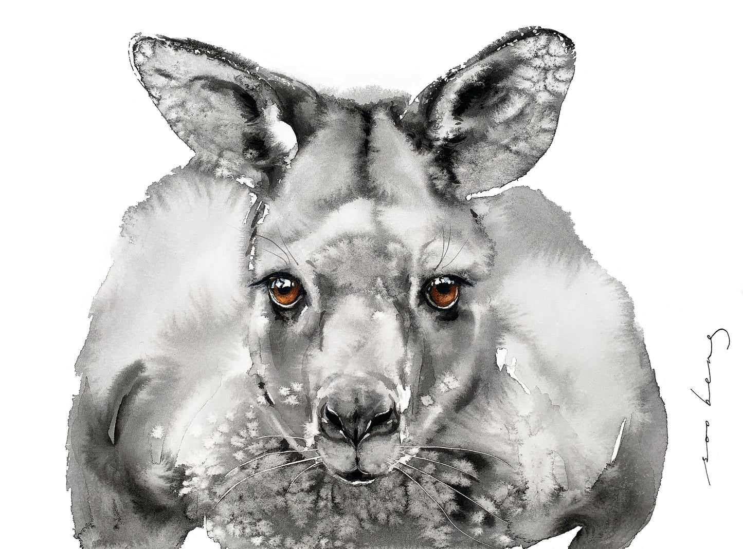 Inquisitive Roo