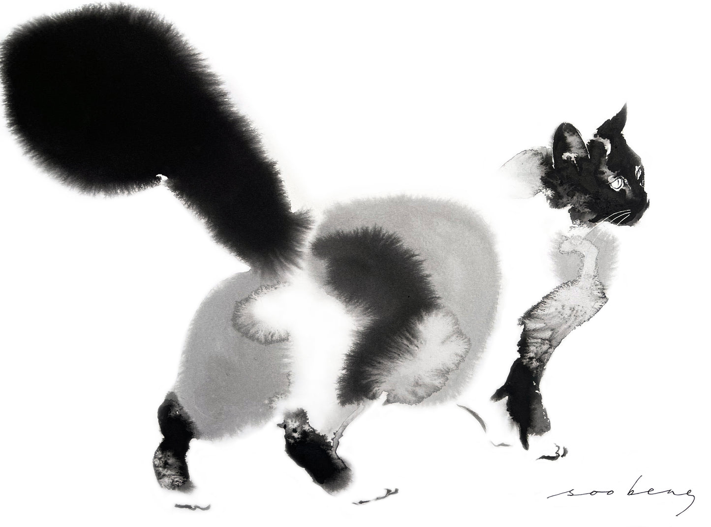 Kitty Fluffstance