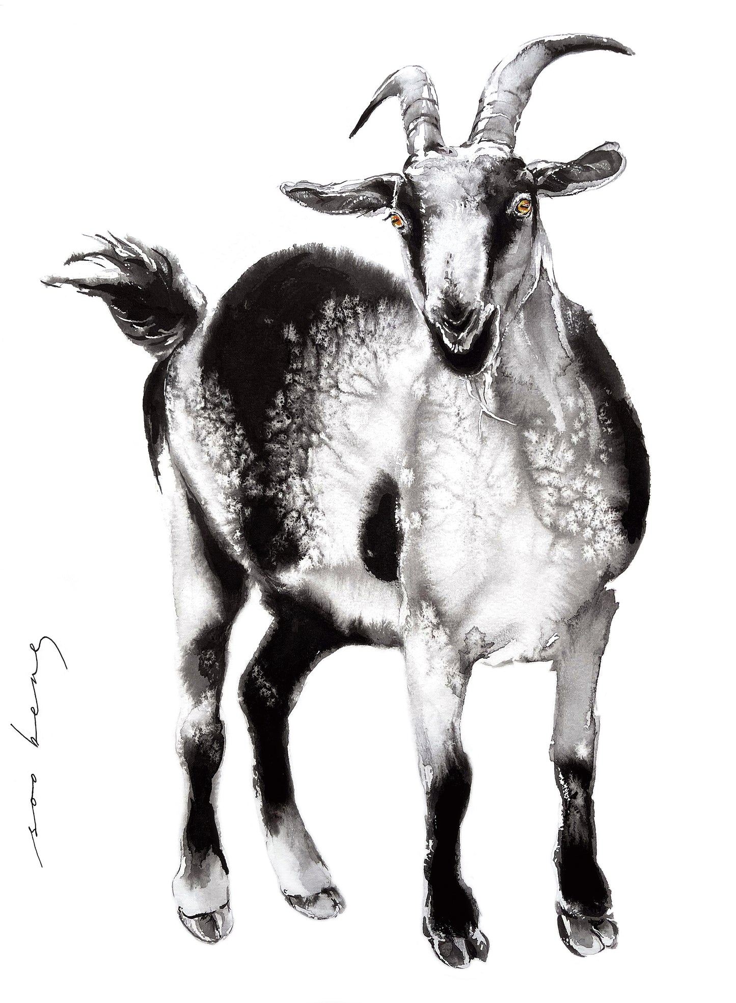 Lucky Horns