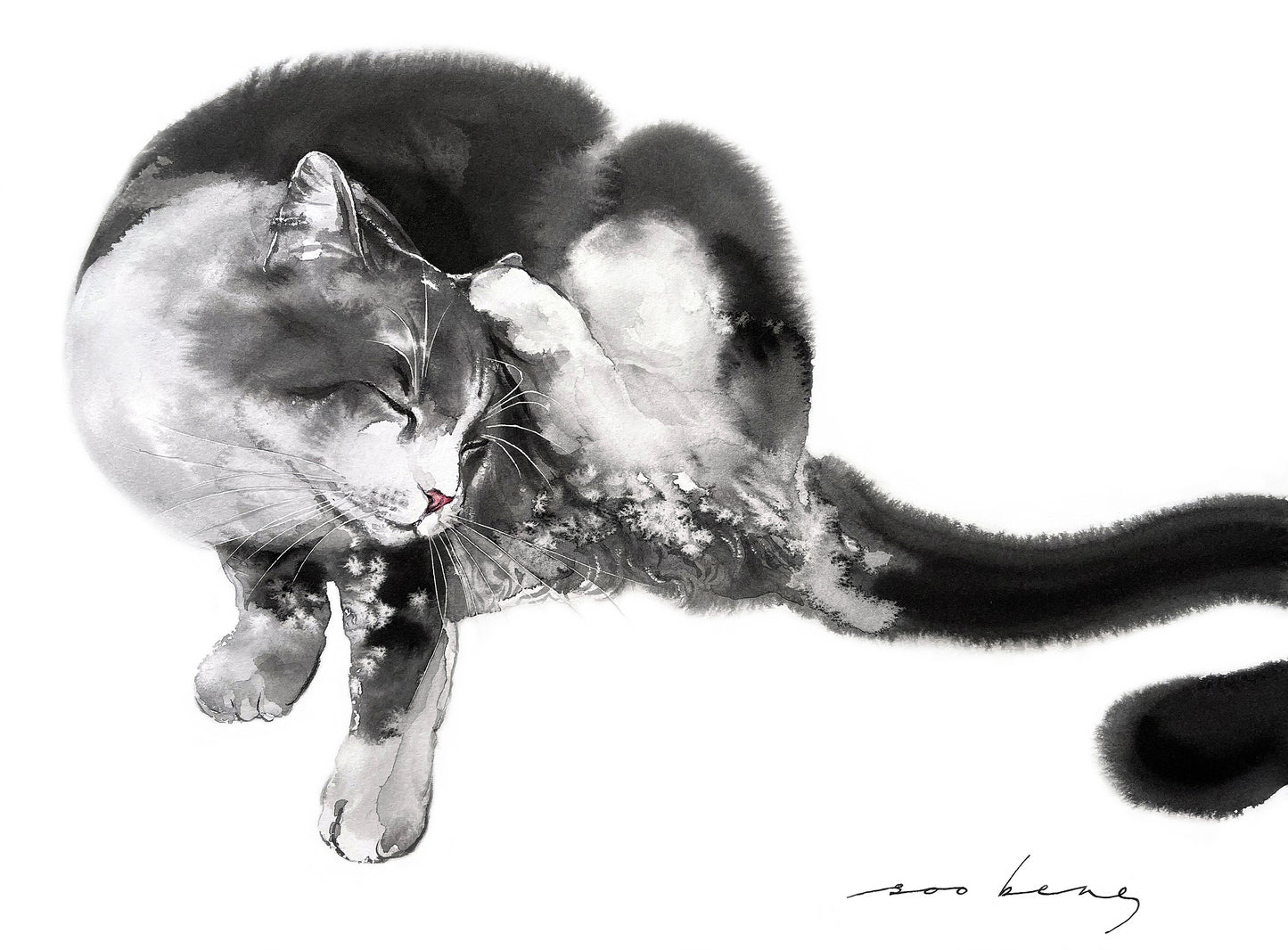Moment of Pawse