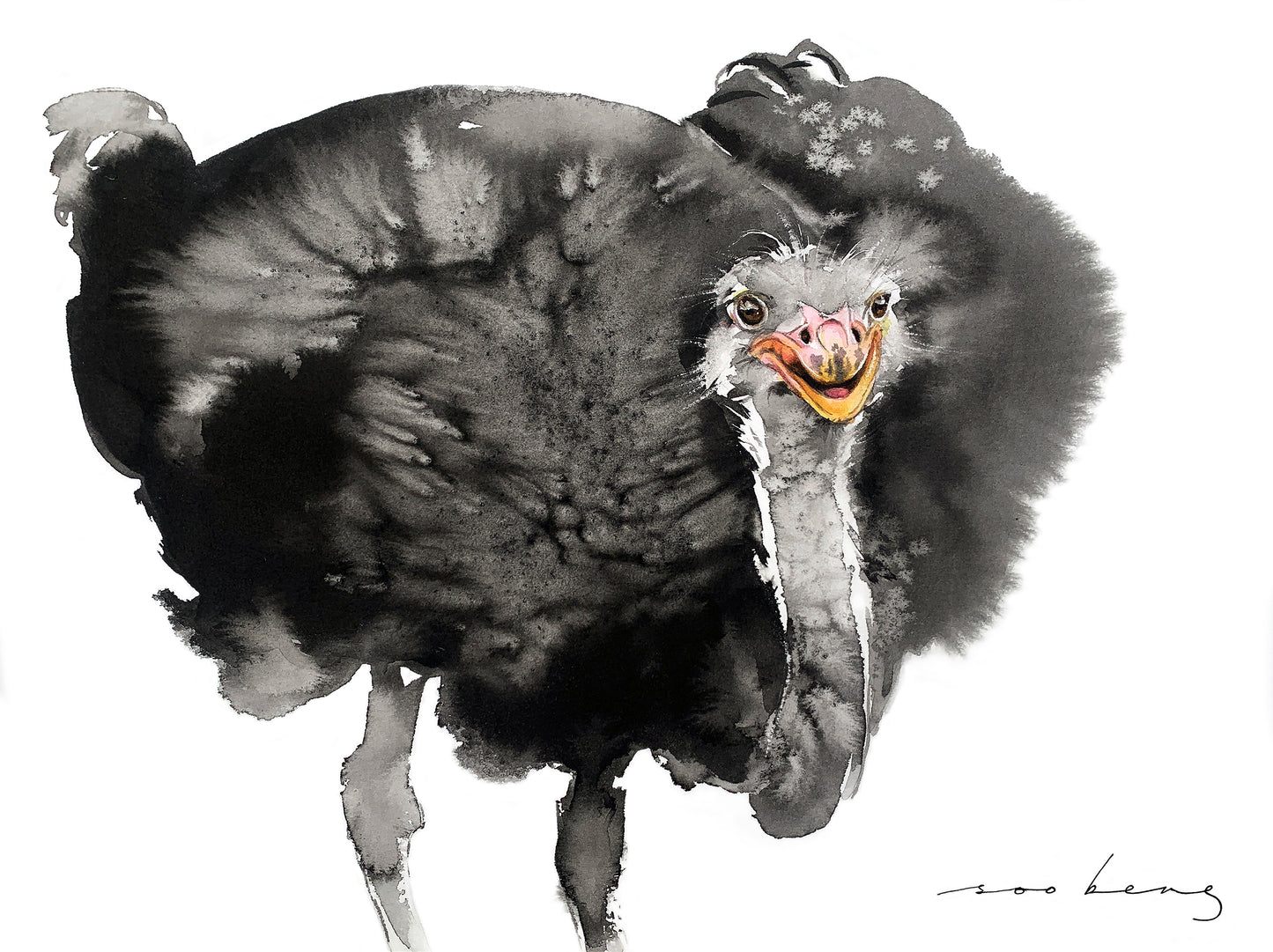 Ostrich Glee