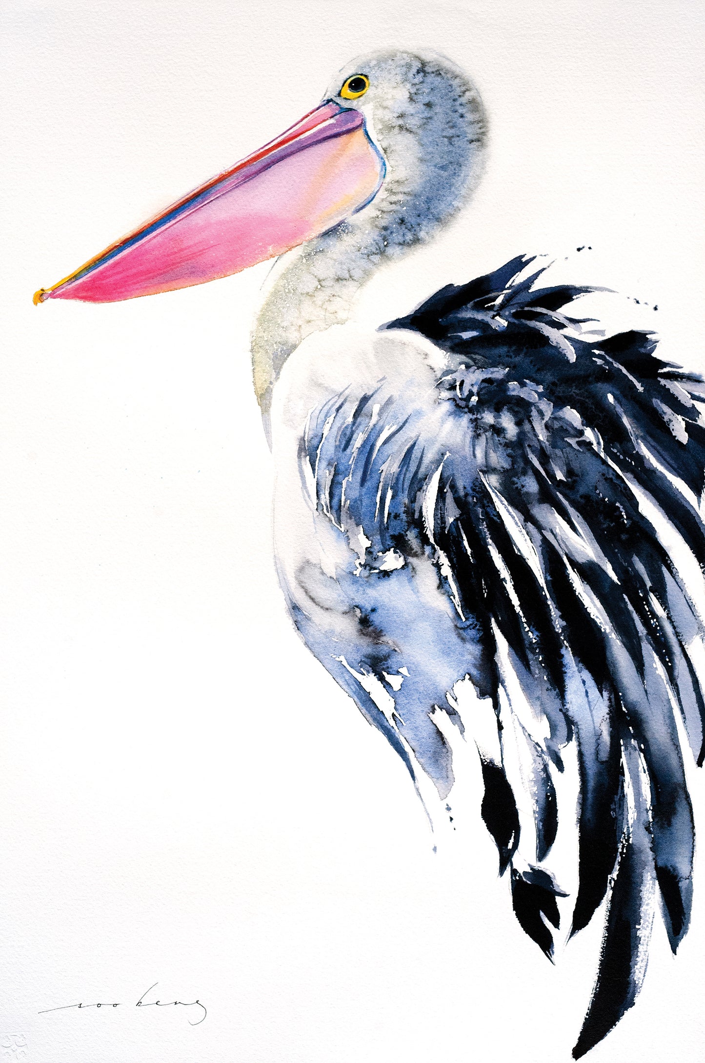 Pelican Wonder3