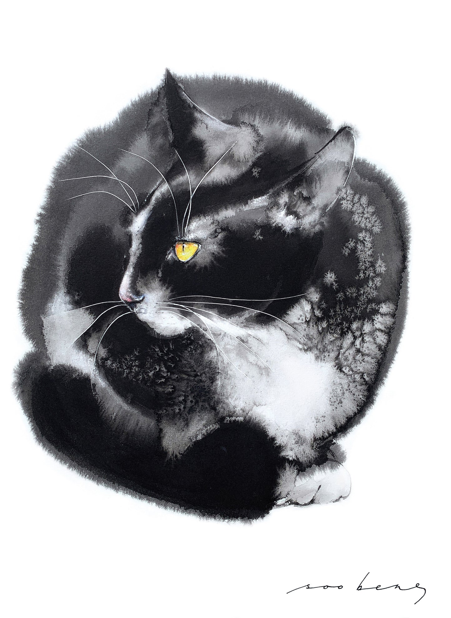 Purrfectly Meow