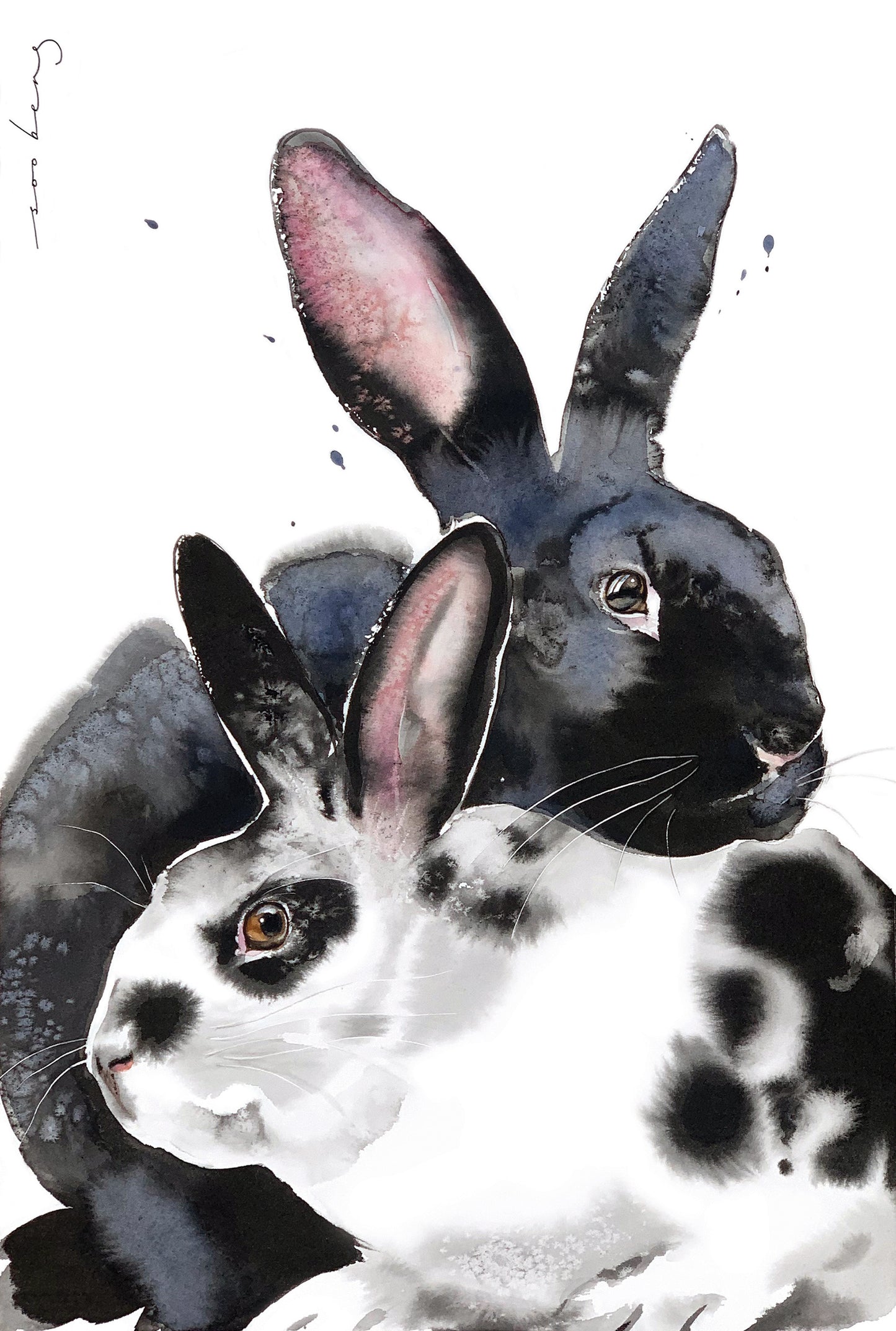 Rabbit Harmony