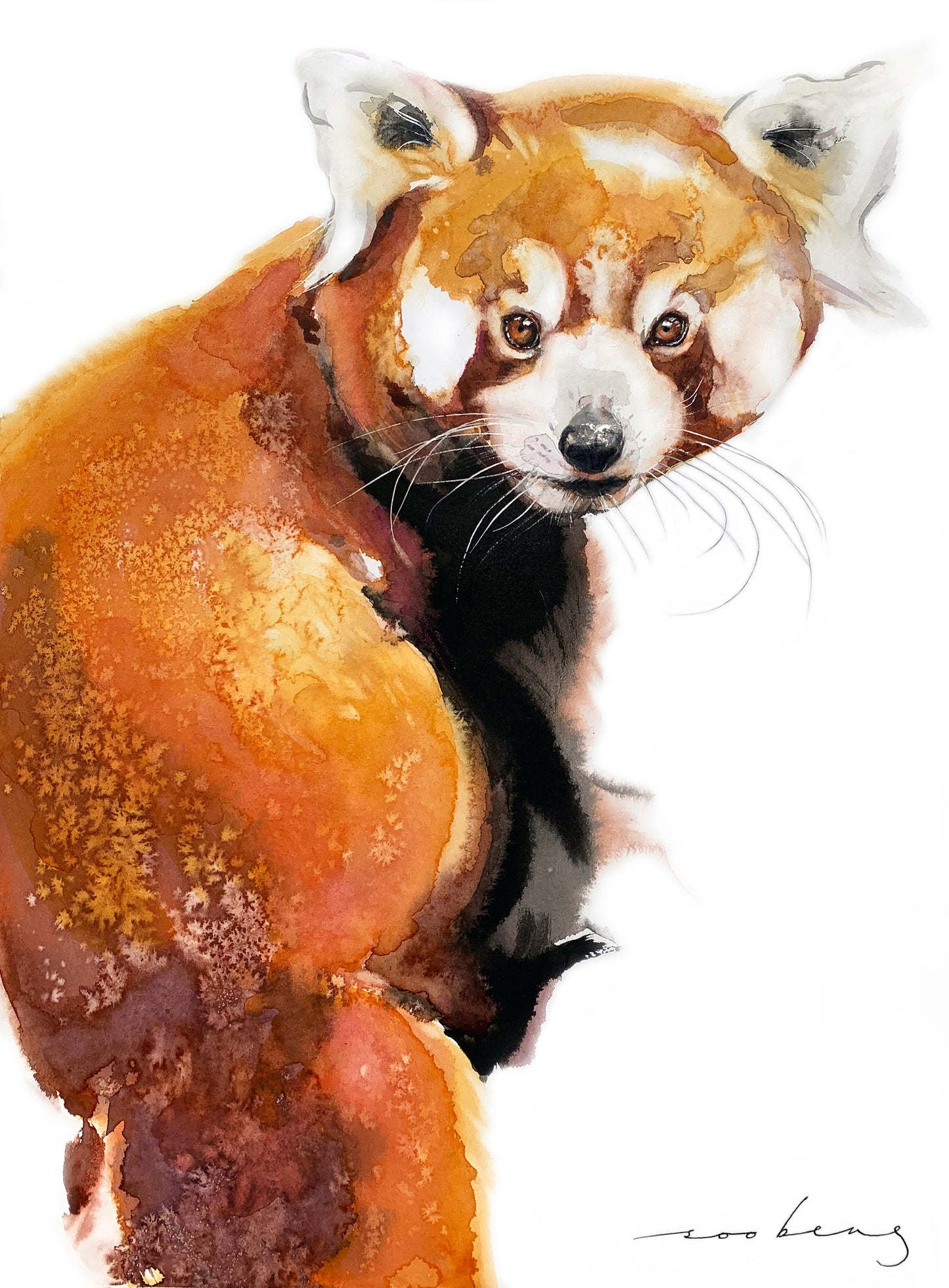 Red Panda Charm