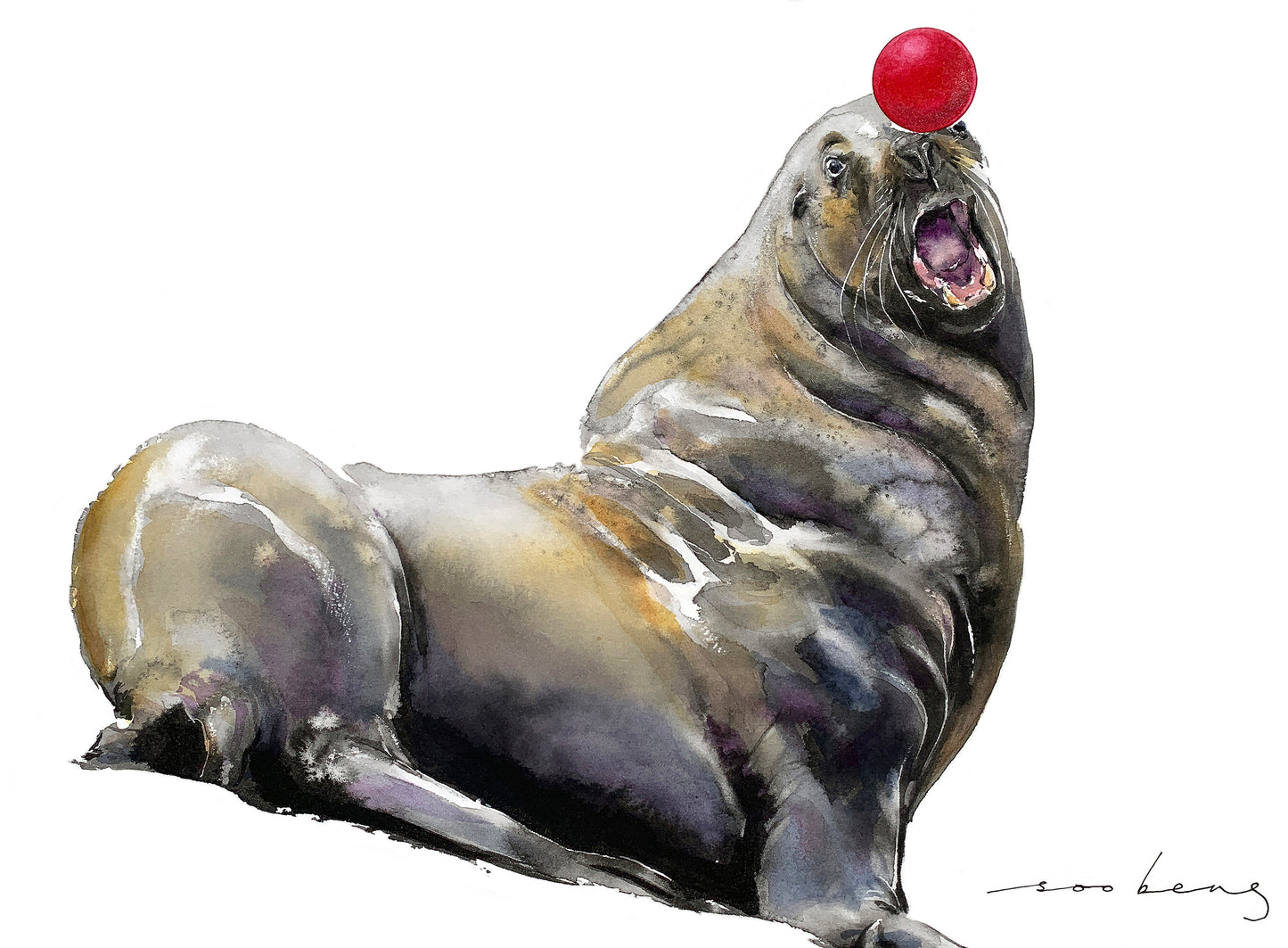Seal on Point