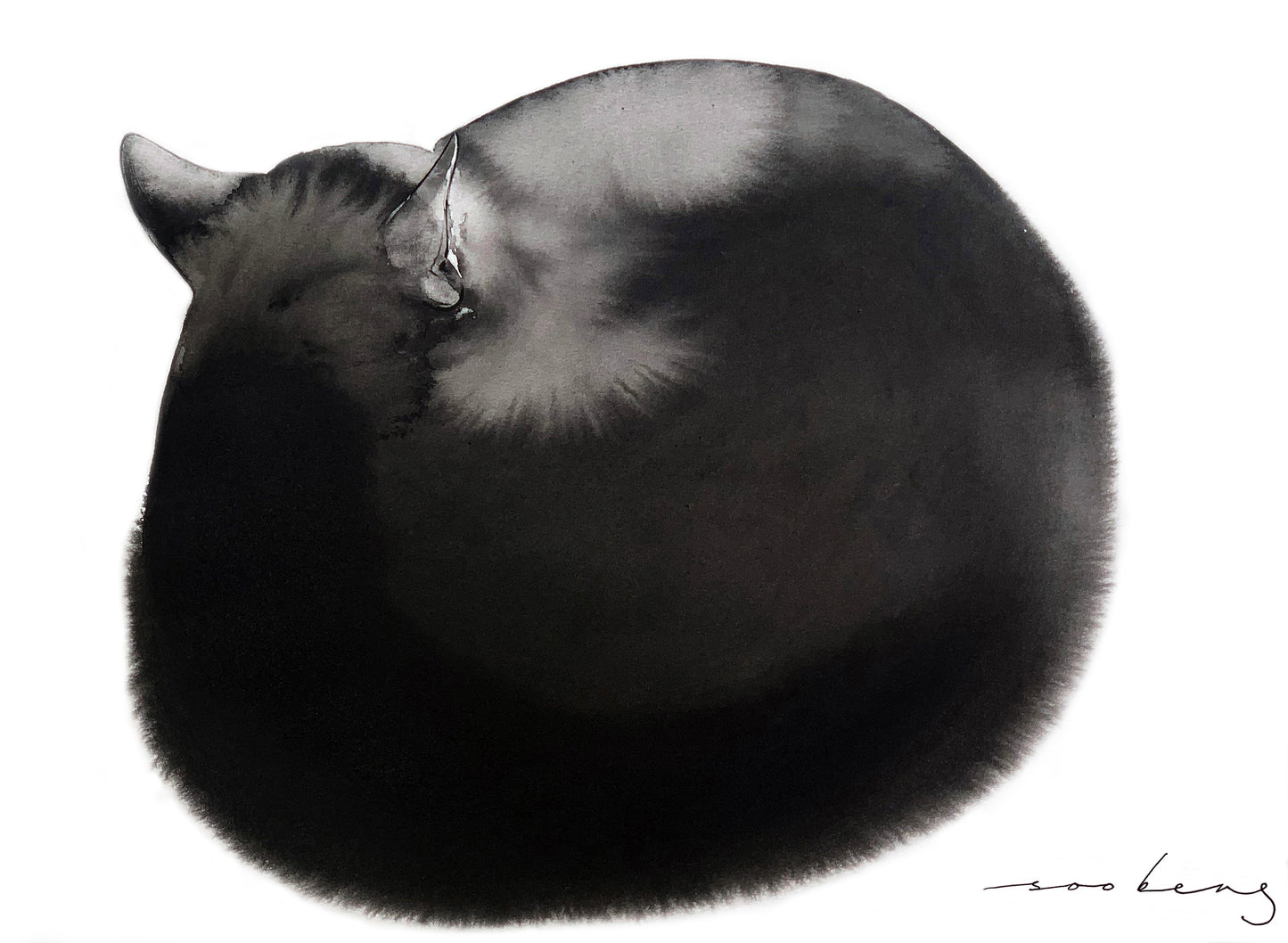 Siesta3