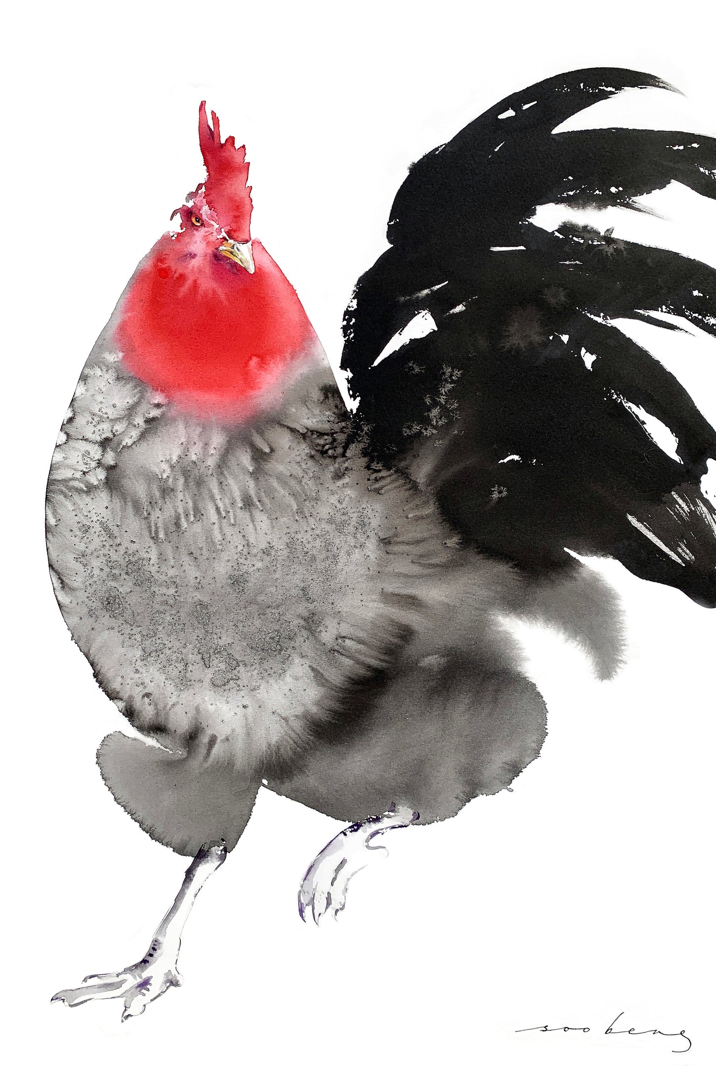 Valiant Rooster
