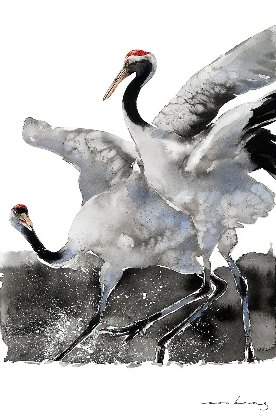 Waltz of Wings