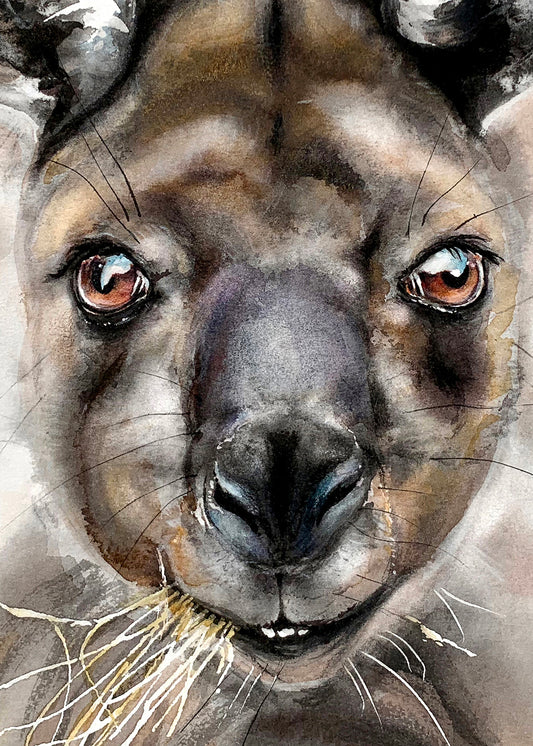 Outback Gaze