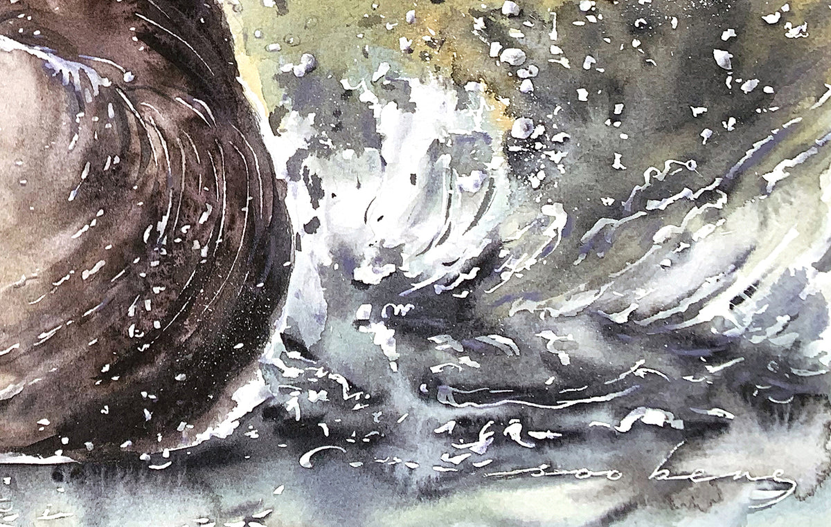 Golden Splash