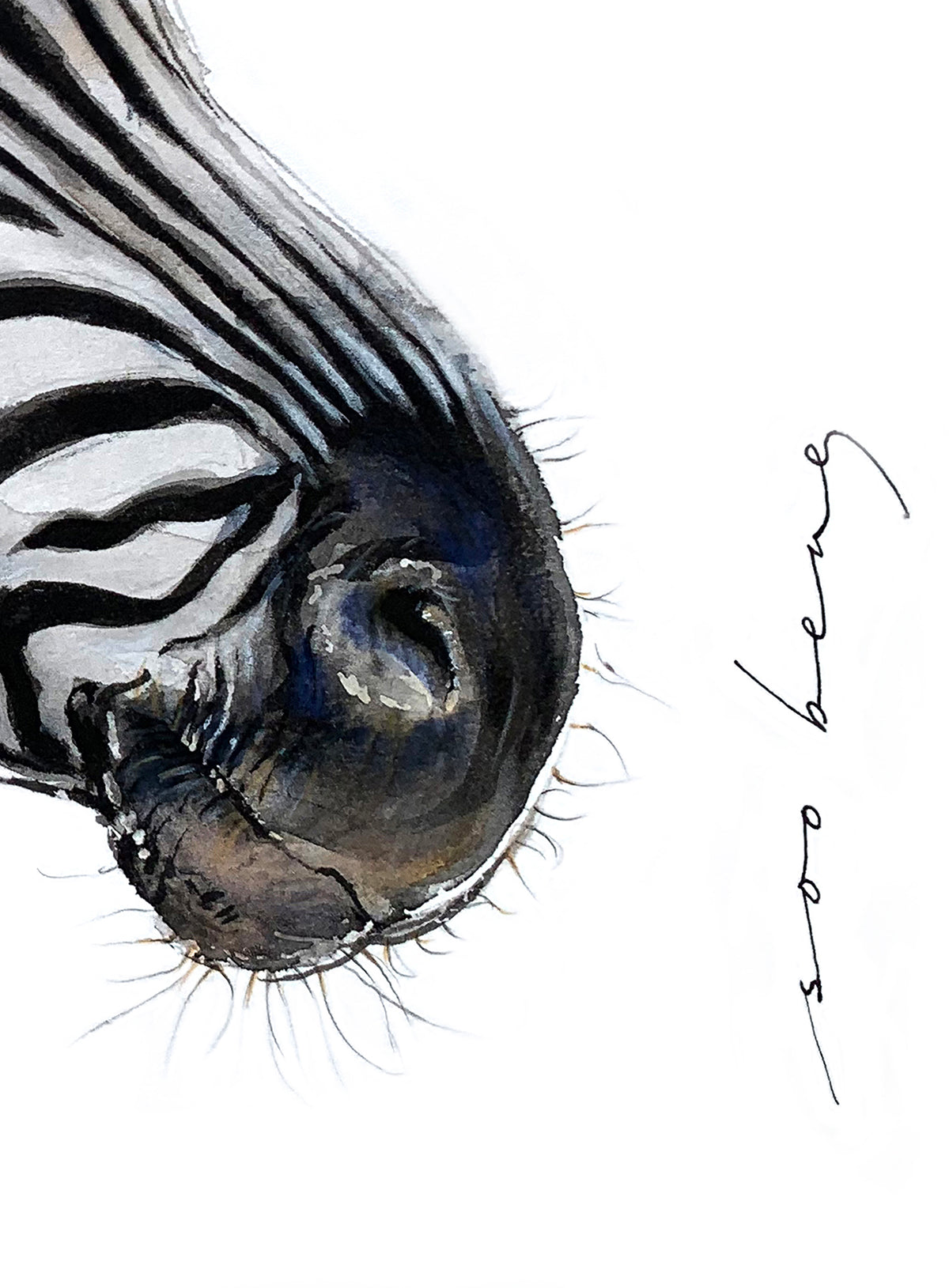 Striped Majesty