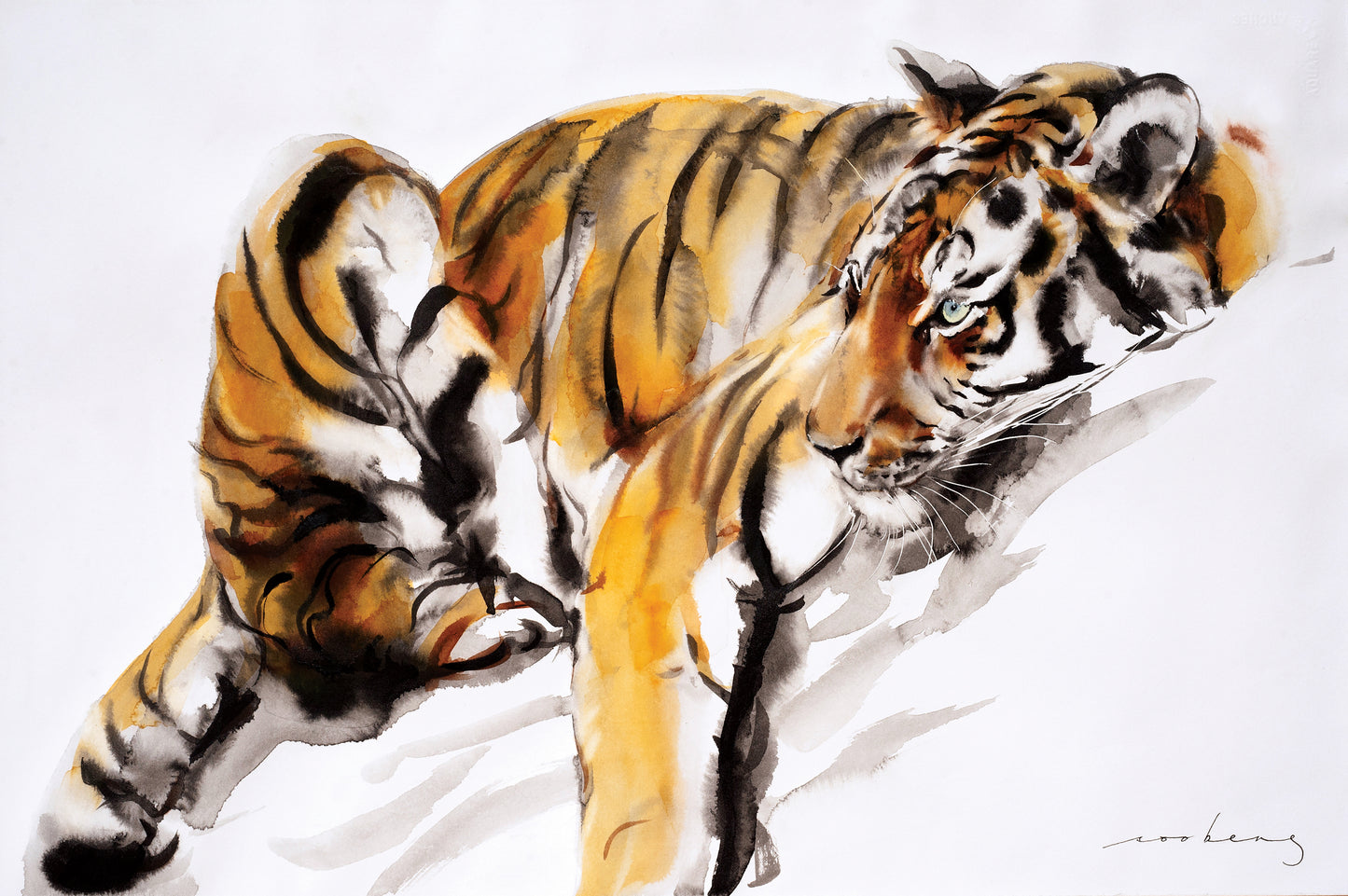 A Tiger’s Rest