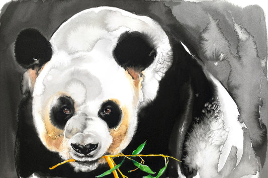 Bamboo Bliss