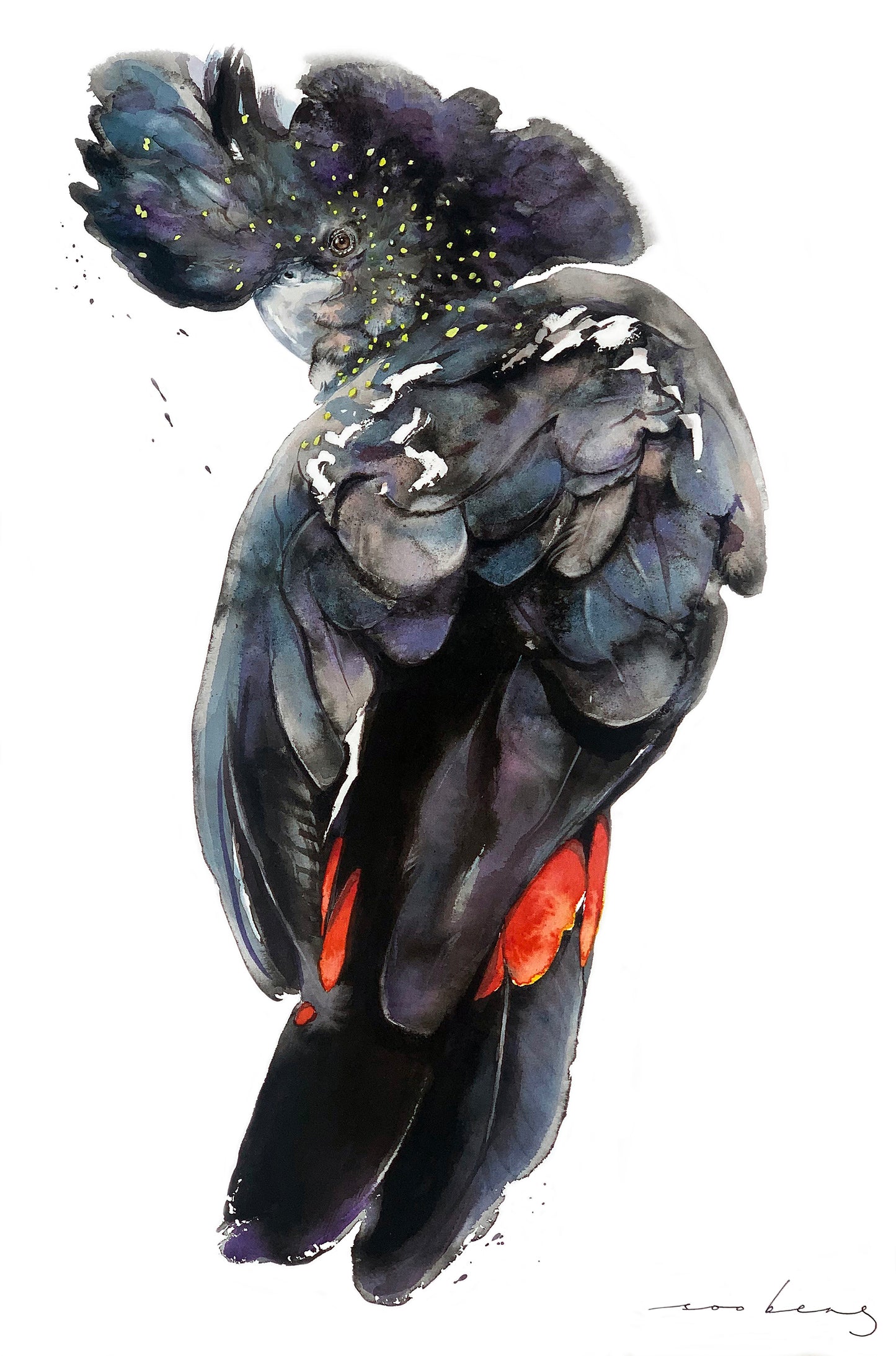 Bank’s Cockatoo