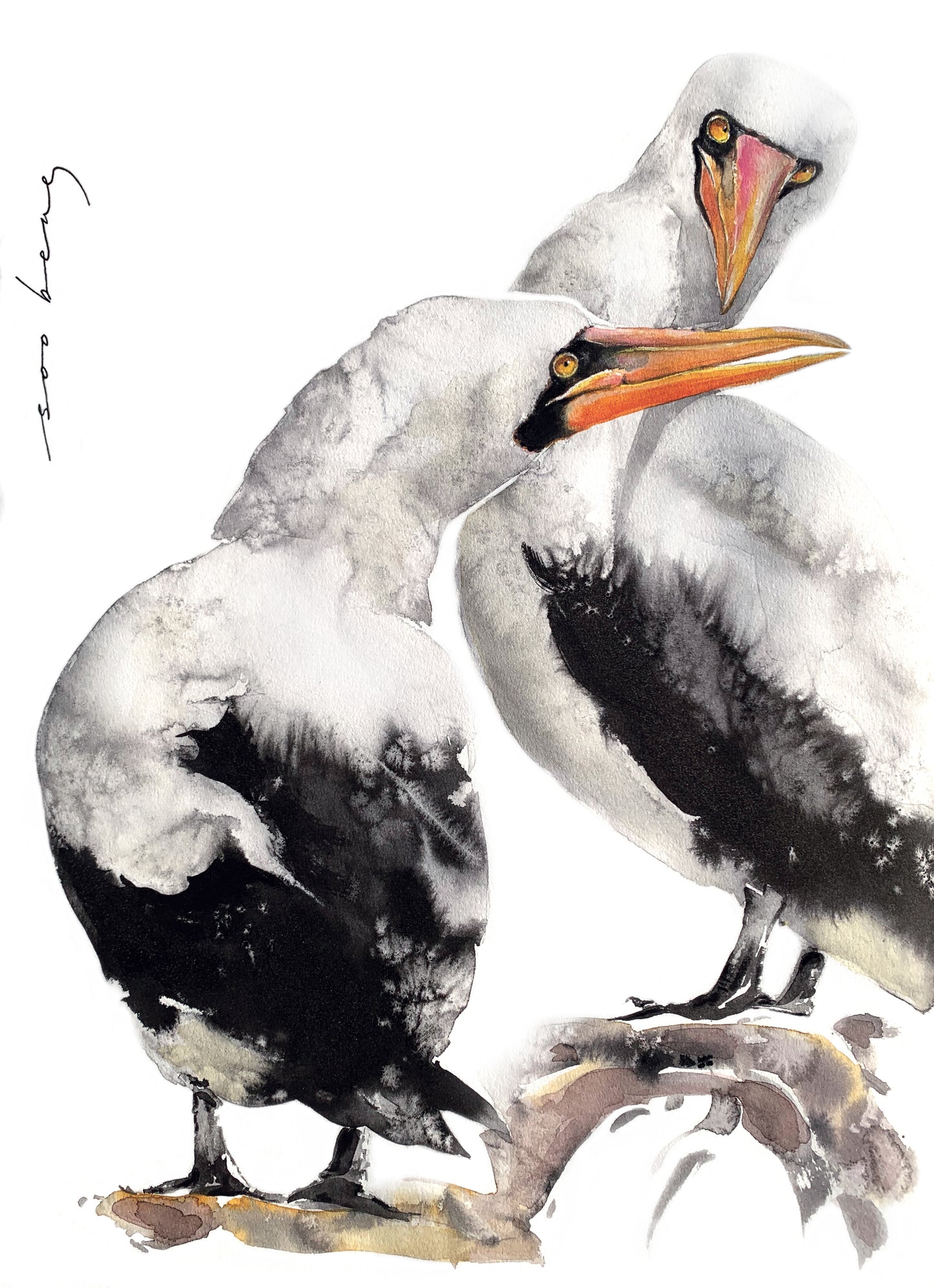 Beak to Beak