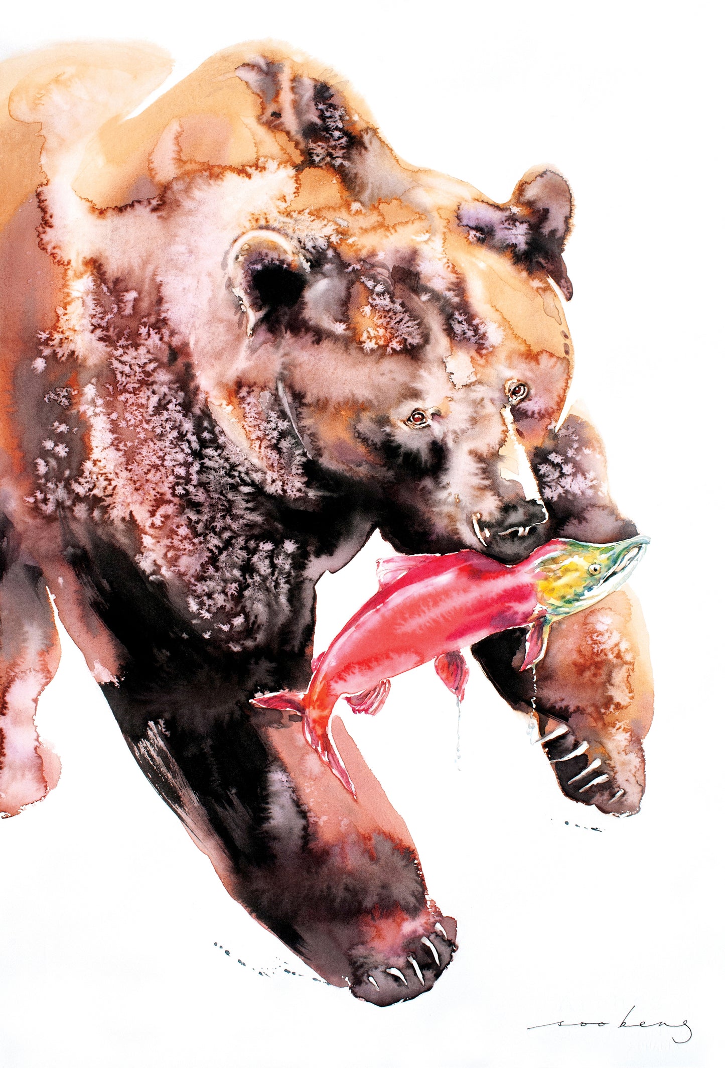 Beary Good Catch