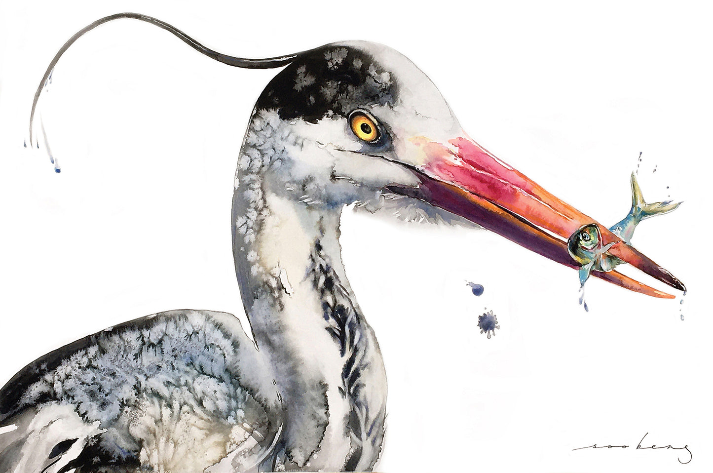 Blue Heron