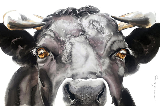 Bull’s Eye