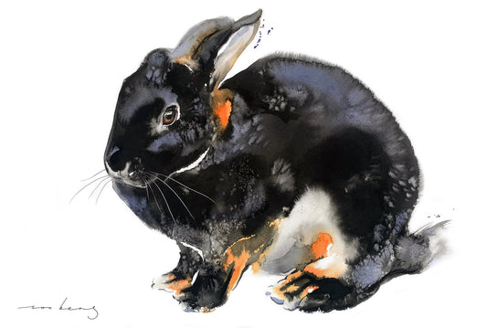 Bunny’s Worth