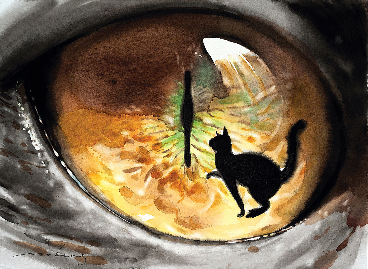 Cat Seen