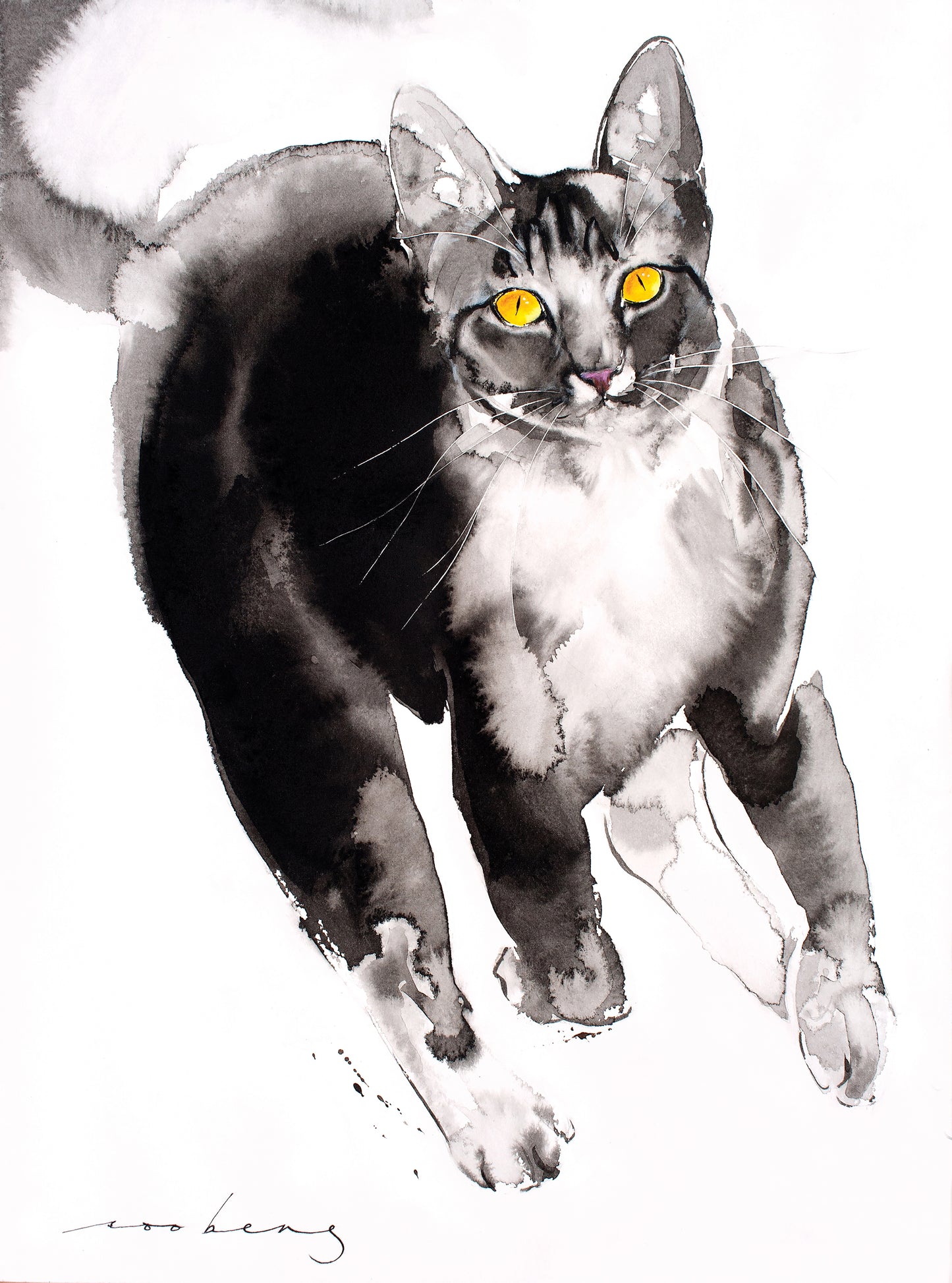 Chaser Cat2