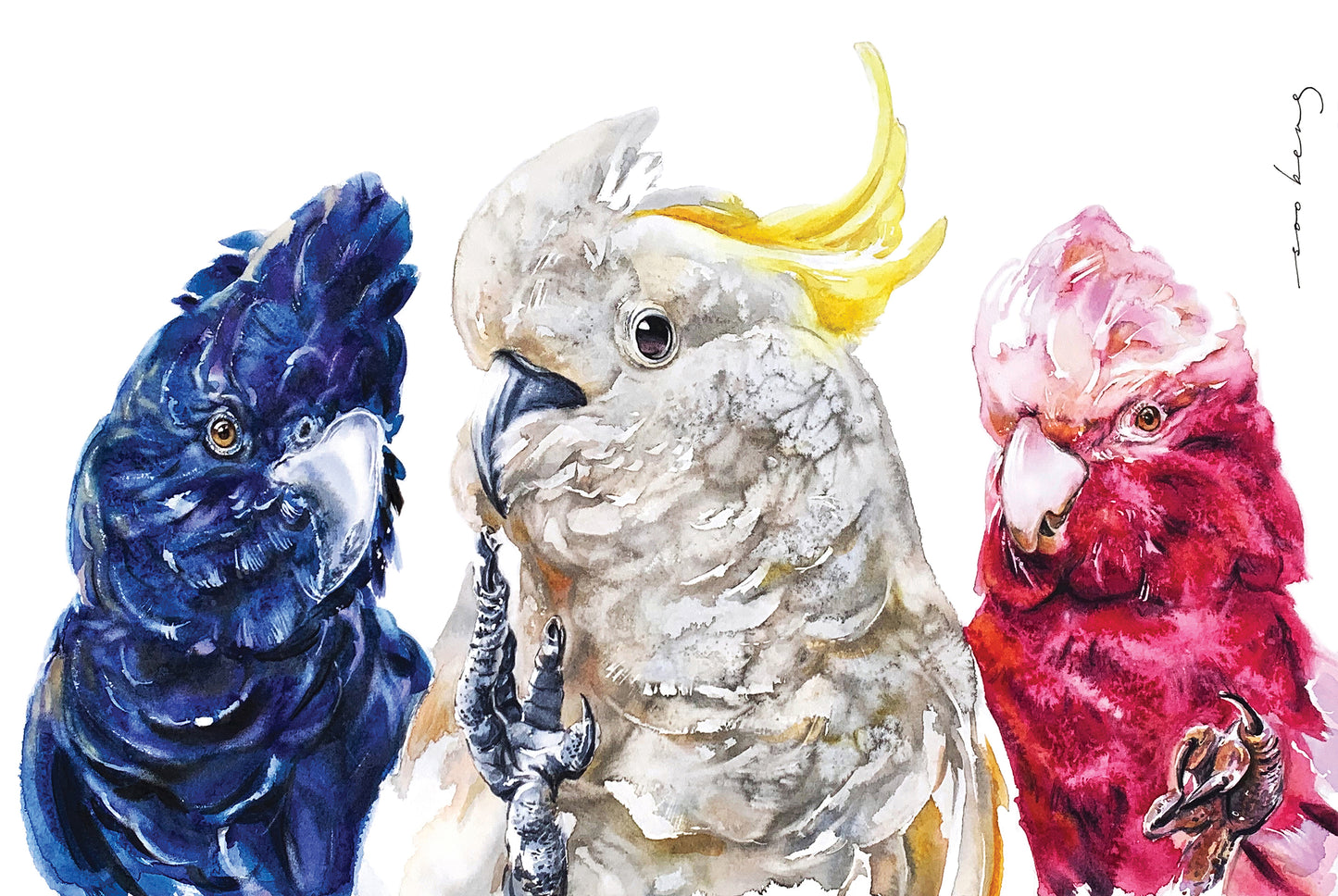 Cockatoo Trio