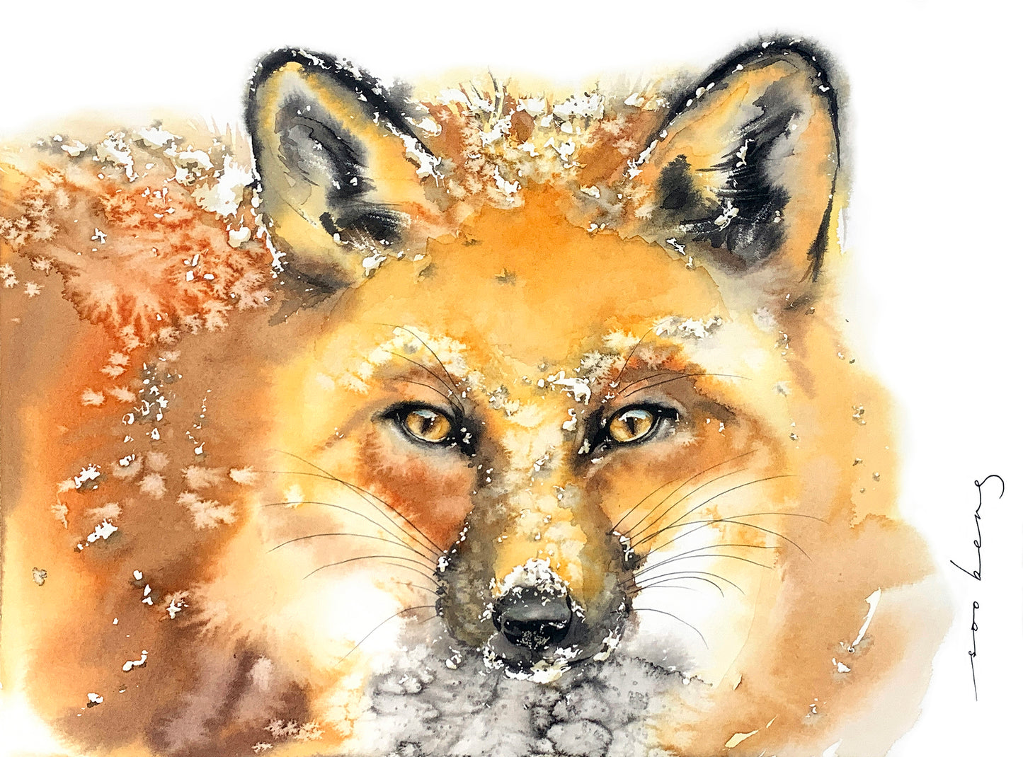 Cool Fox