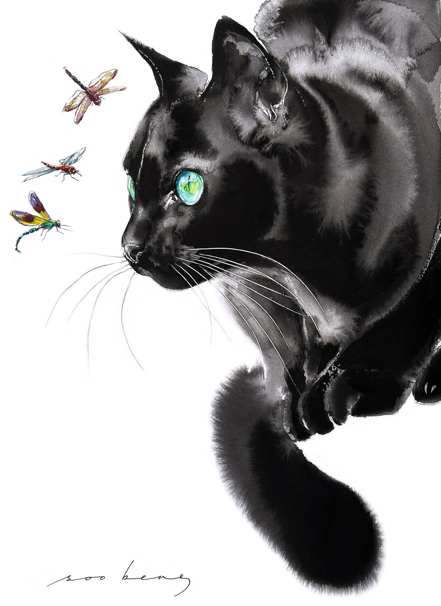 Curious Watcher