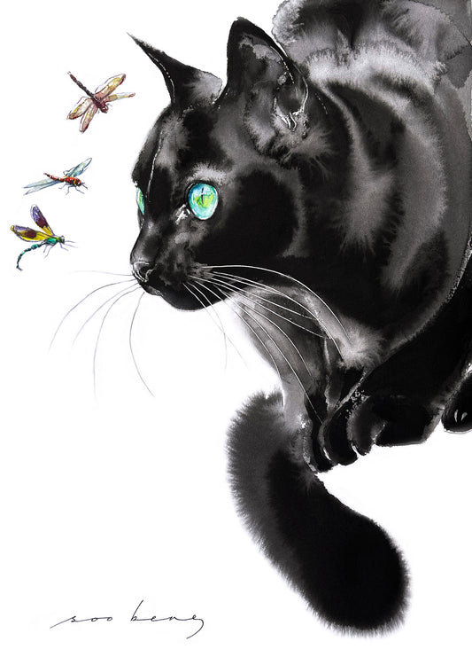 Curious Watcher
