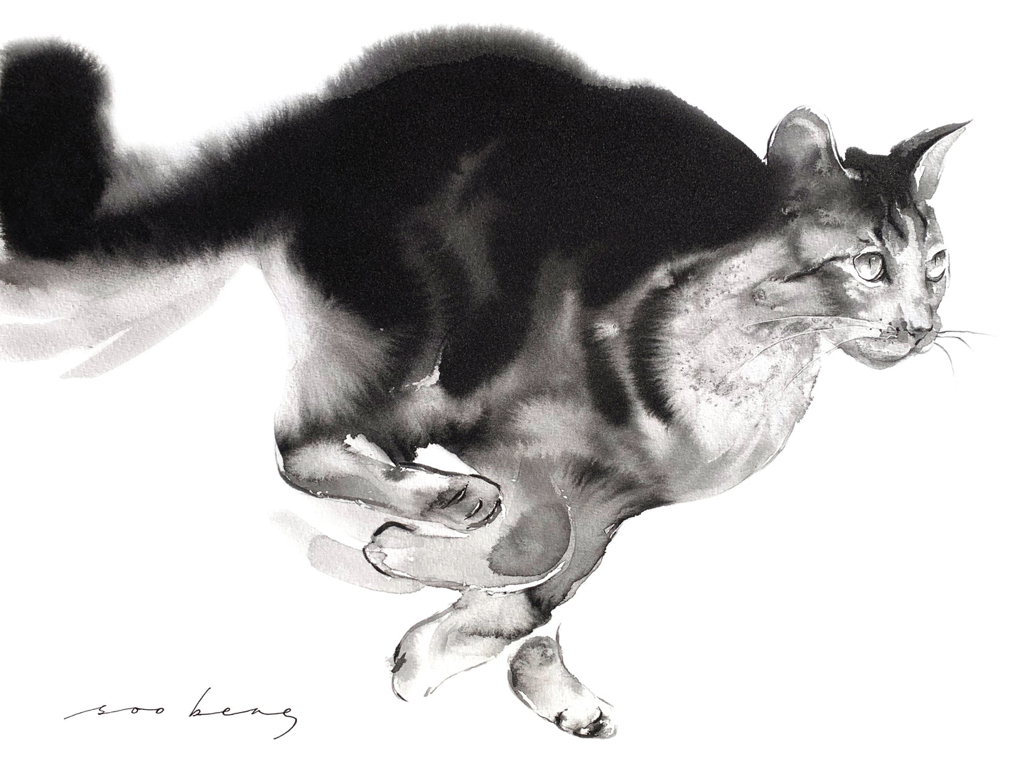 Feline Flight