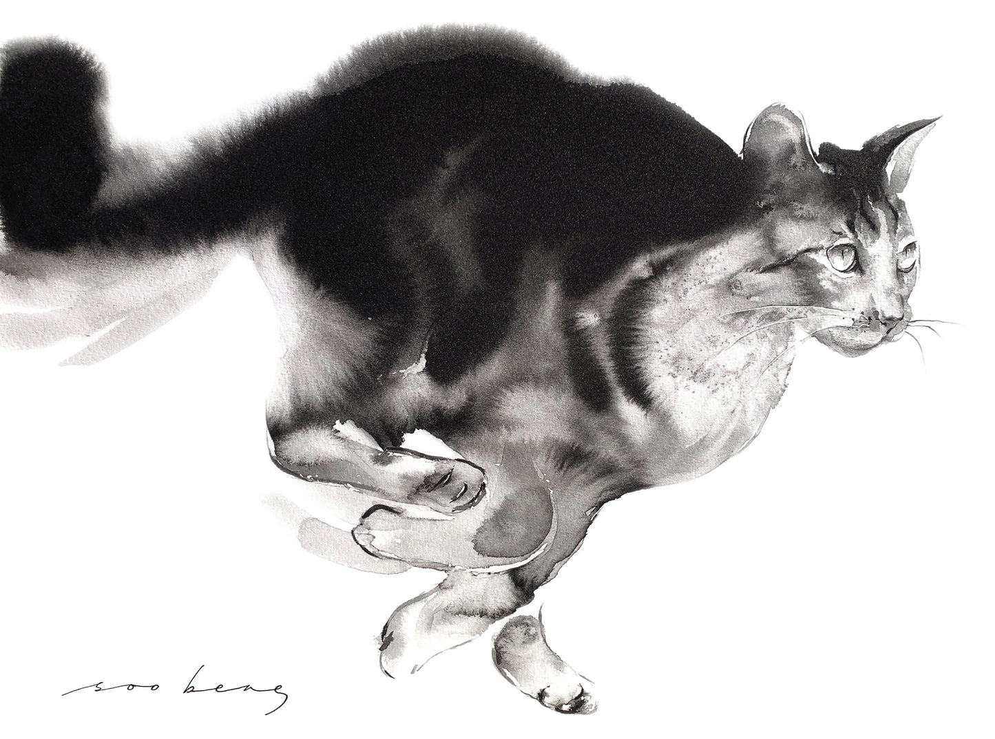 Feline Flight