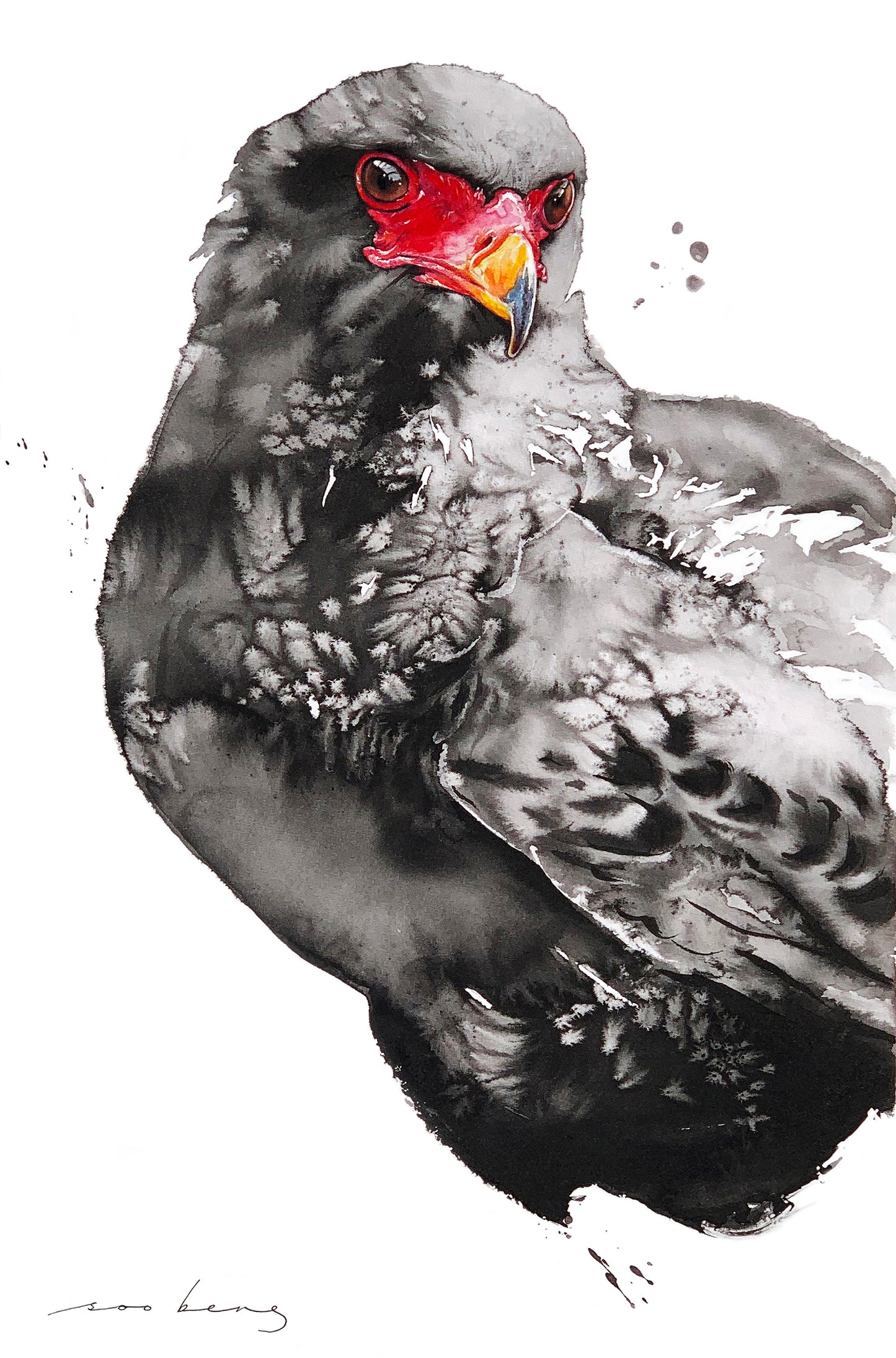 Hawk-Eagle