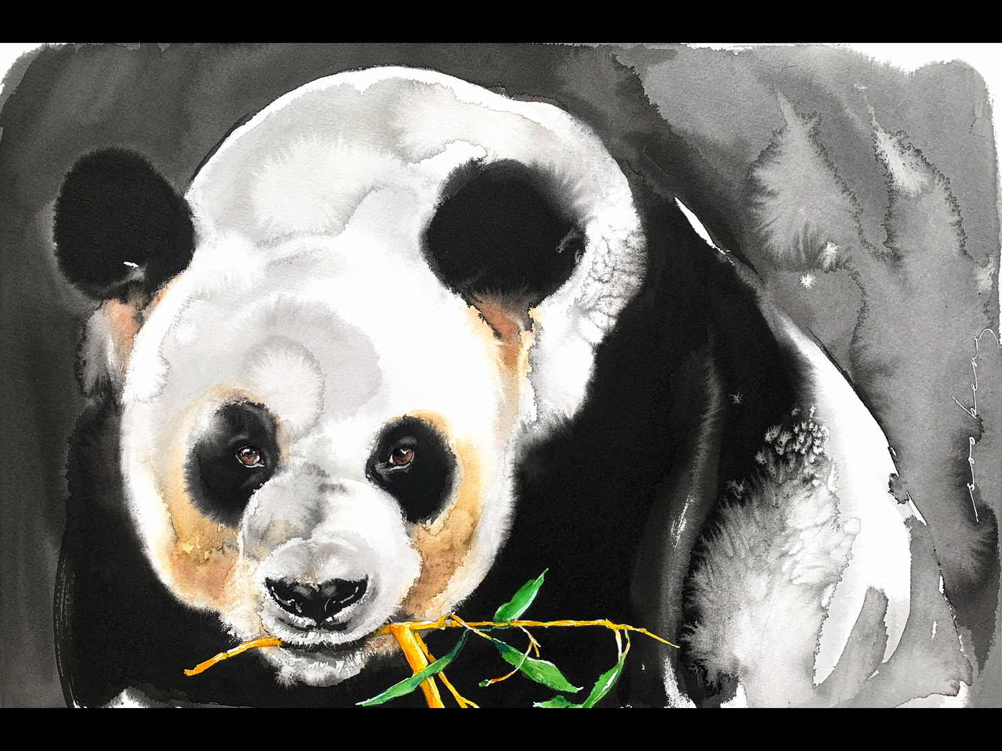 Bamboo Bliss