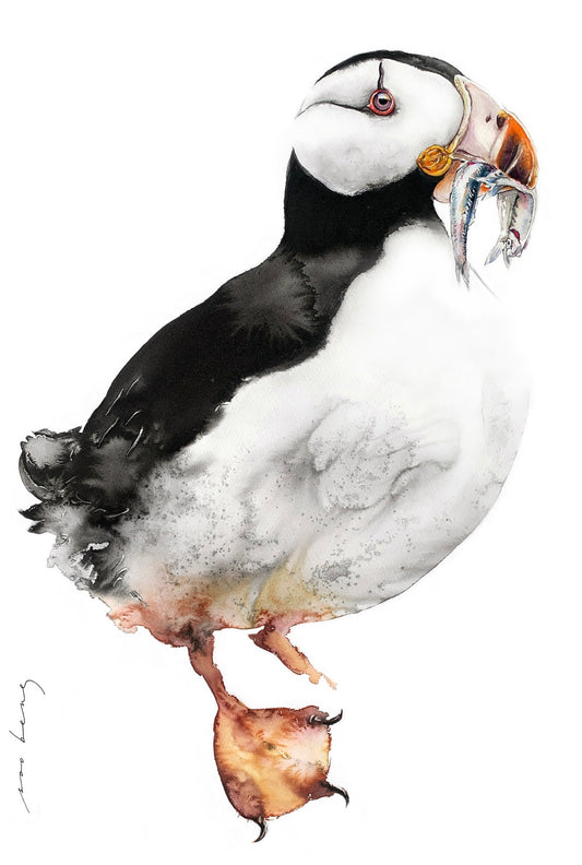 Beakful Bounty