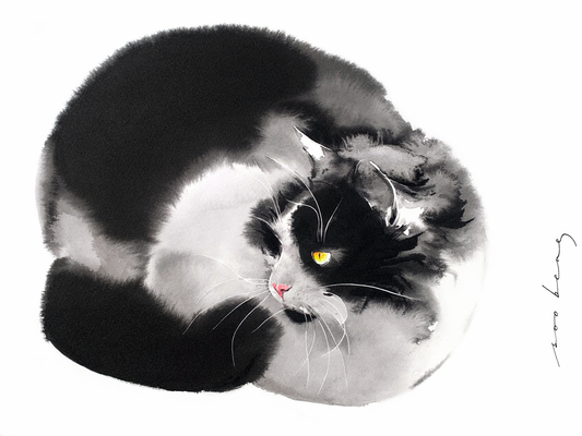 Cosy Whiskers