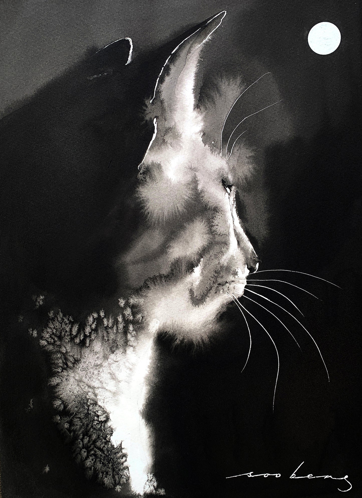 Illuminated Feline