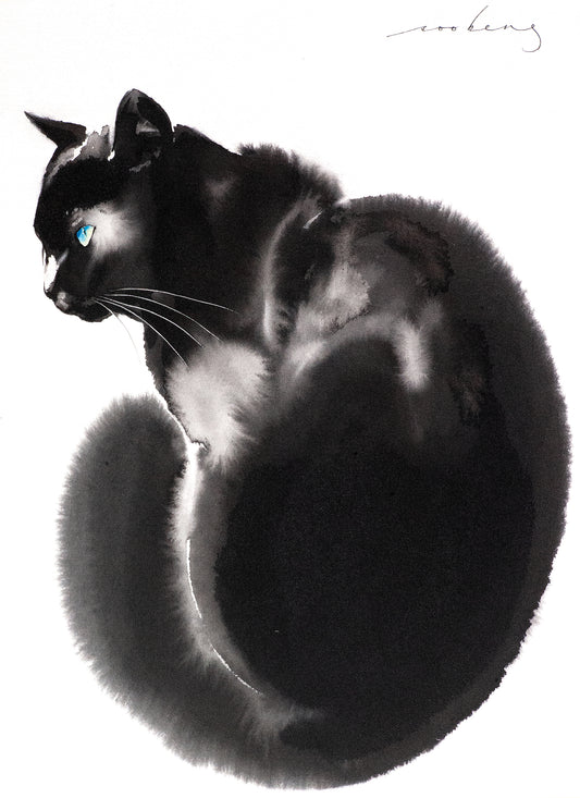 Indy Cat