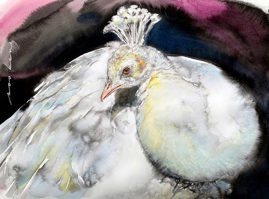 Ivory Peacock
